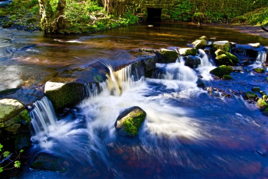 The River Rivelin